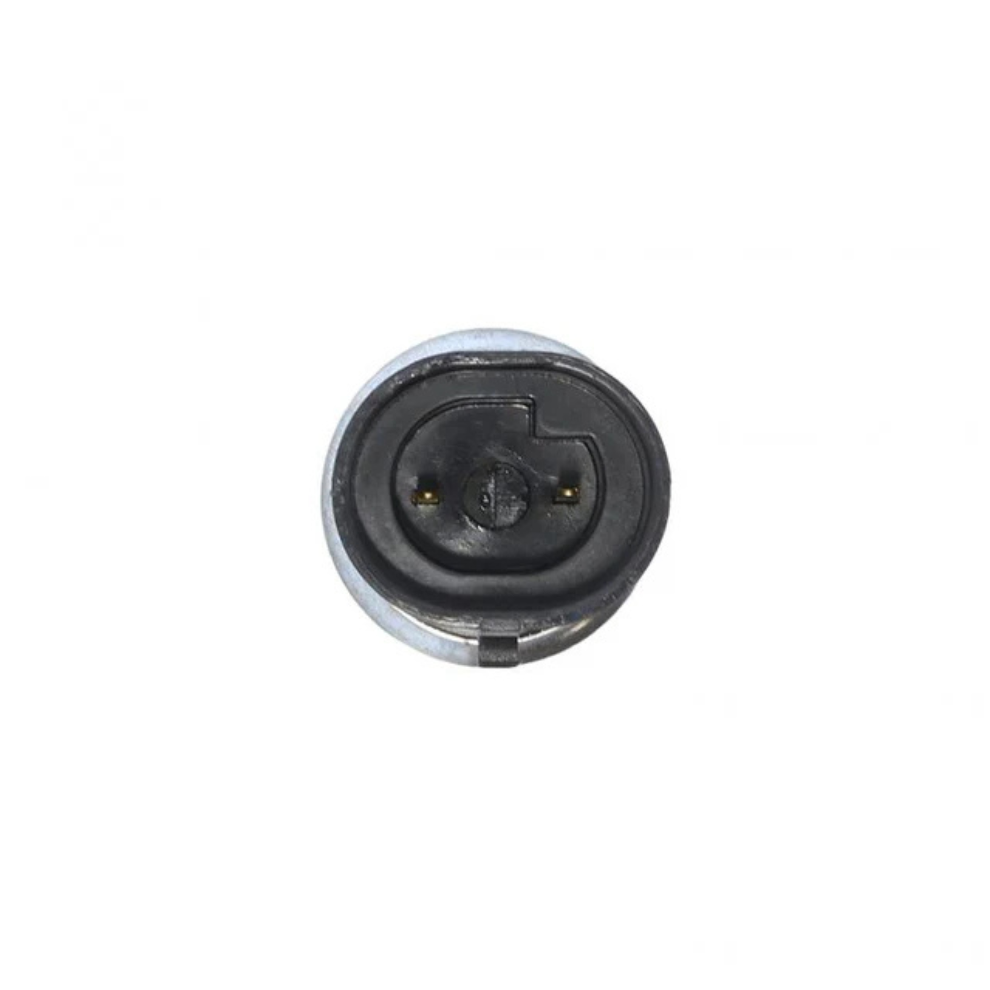 International 2505850C2 Switch Light PAI 450554 – Truck Supply Parts