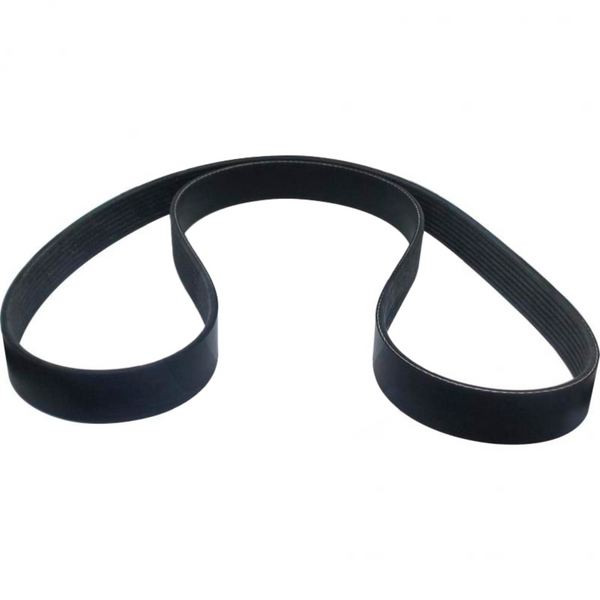 Belt Serpentine 21556636