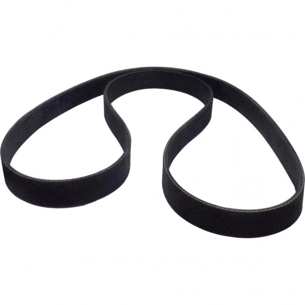 Belt Serpentine 21556637