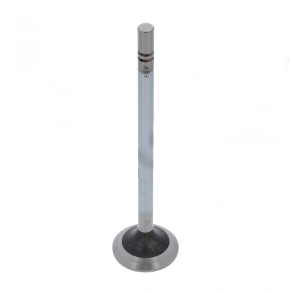 Caterpillar C10-C11-C12-C13 1337029 Exhaust Valve