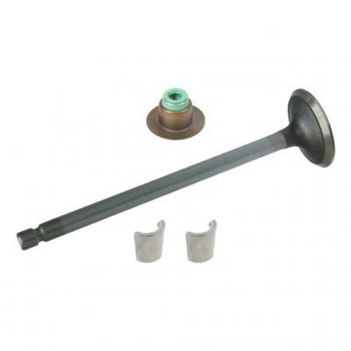 Cummins ISB6-QSB 4955210 Exhaust Valve Kit Pack (2)