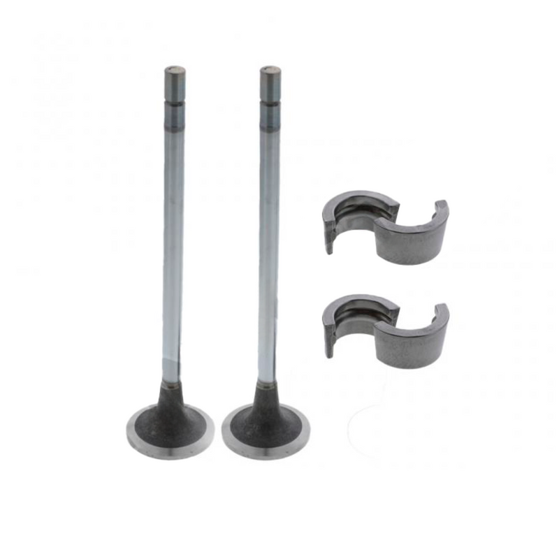 Cargue la imagen en el visor de la galería, Cummins ISX12 5693786 Intake Valve Kit
