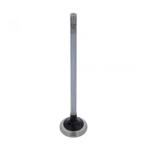 Cummins ISX 3680759 Exhaust Valve (Pack2)