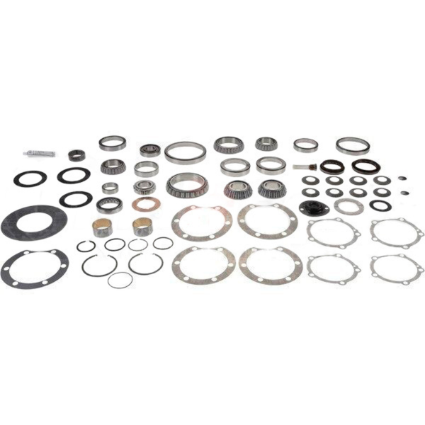 Eaton 122421 Differential Bearing and Seal Kit PAI 70980