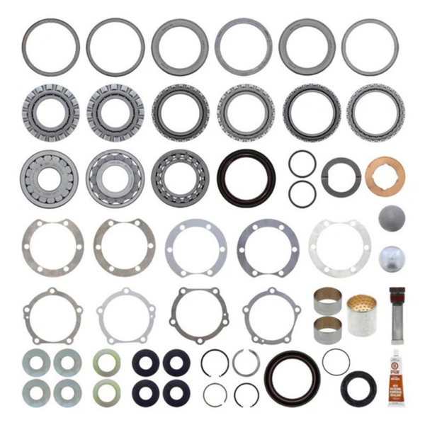 Eaton 217621 Differential Bearing and Seal Kit PAI 70950