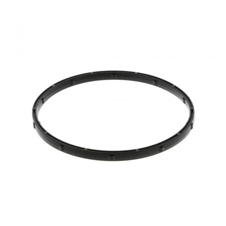 International 1838248C1 EGR Gasket (Pack2)