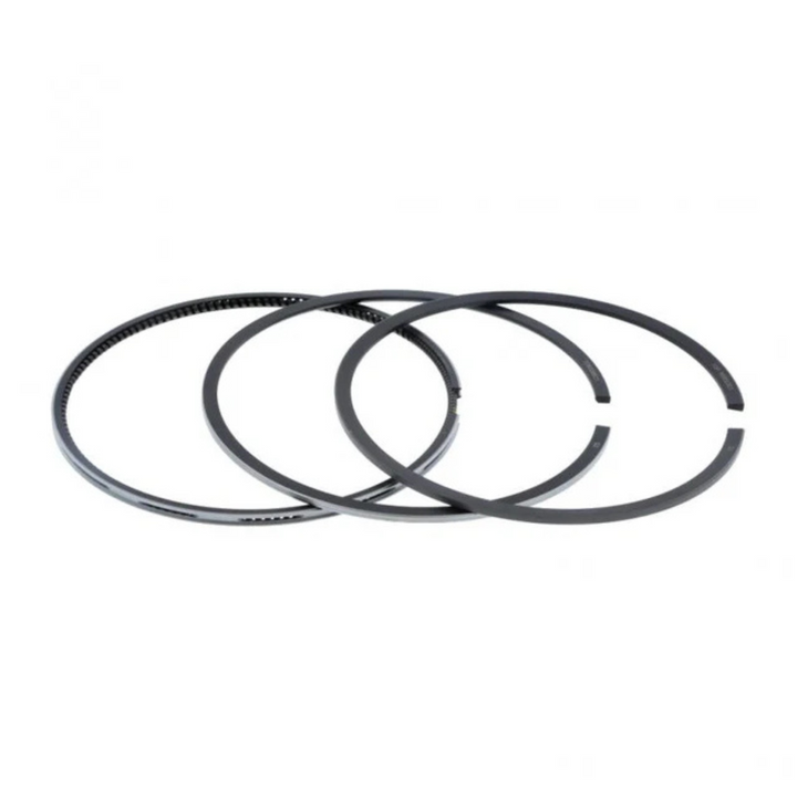 International 1876099C91 Piston Ring set