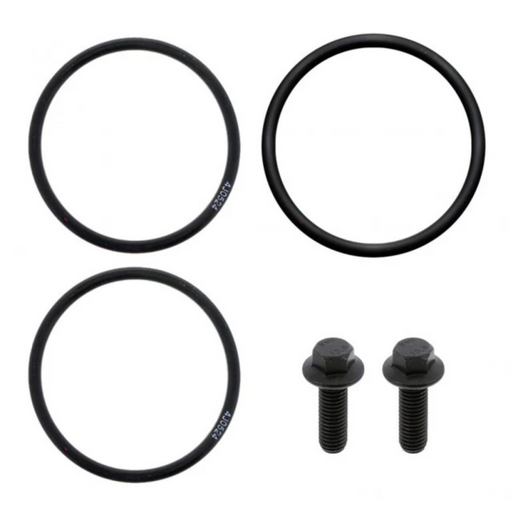 International 1889136C91 EGR Valve Seal Kit