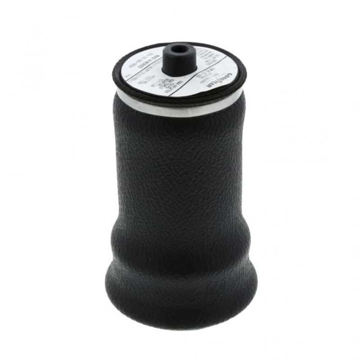 International 2507408C1 Cab Air Spring