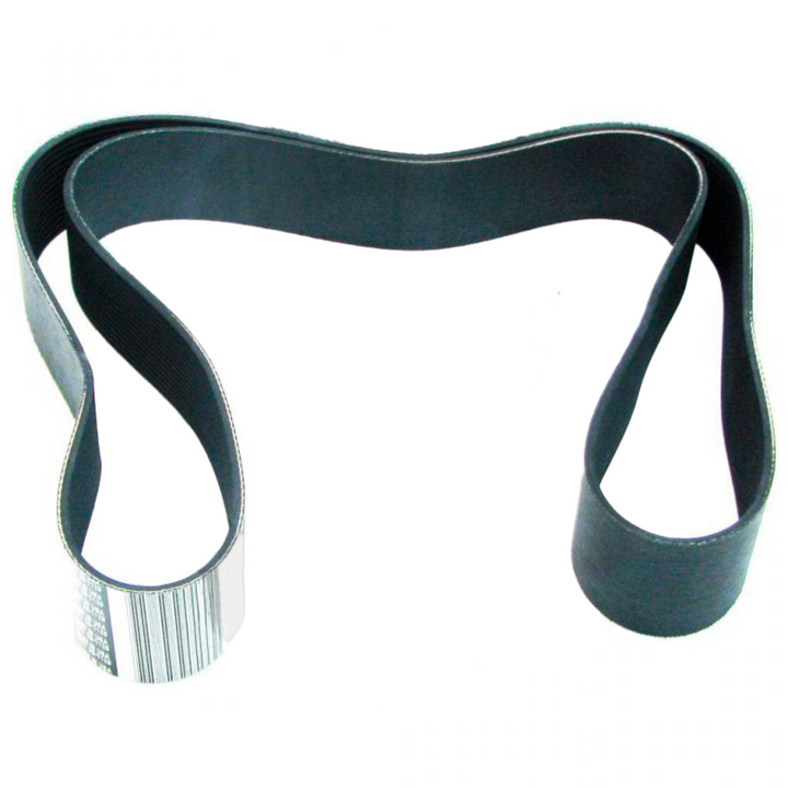 Serpentine Belt 3002203
