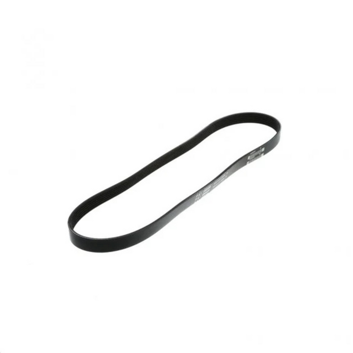 Serpentine Belt 3095880