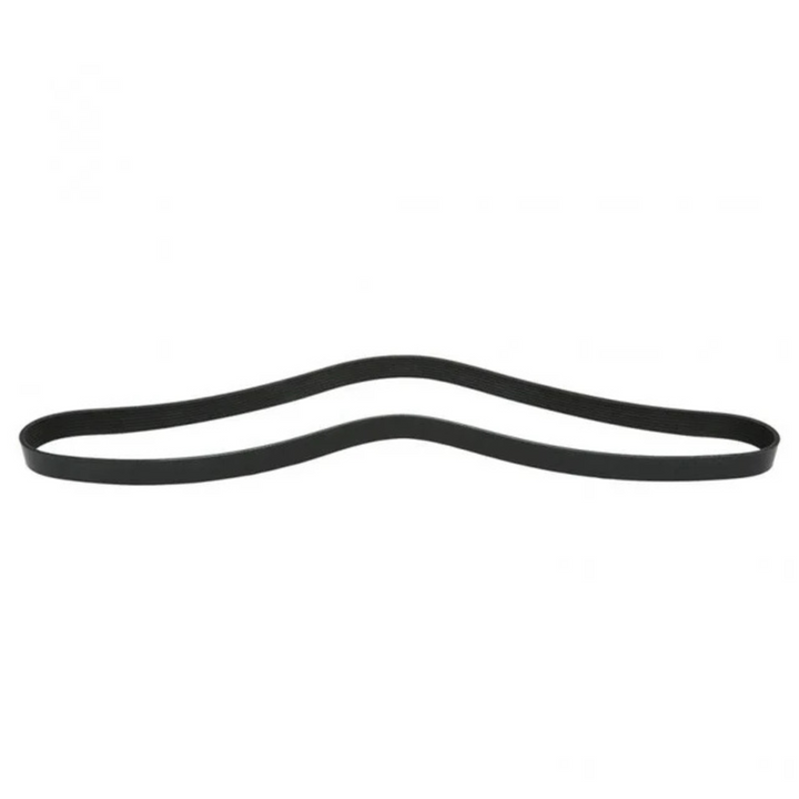 Serpentine Belt 3911566