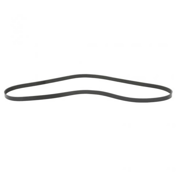 Serpentine Belt  88GB459P735