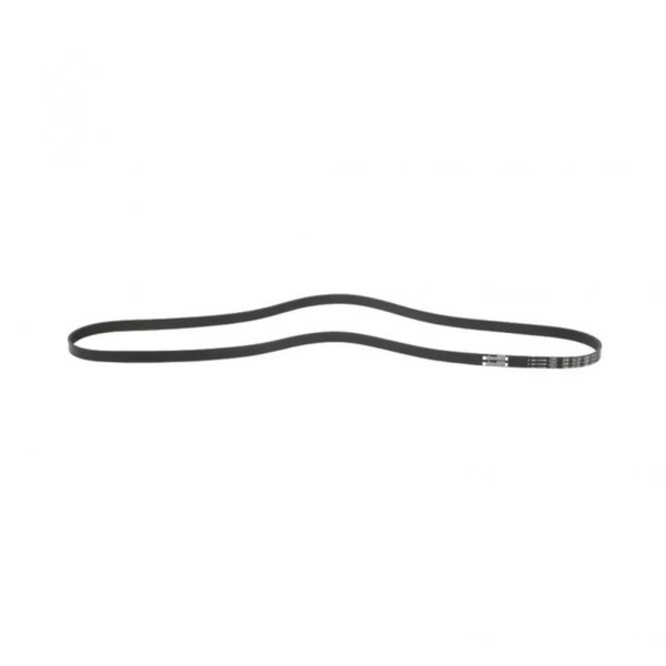 Serpentine Belt  88GB459P847